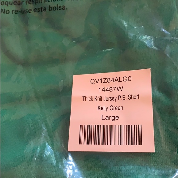 NWT American Apparel Thick Knit PE Shorts Green L - Picture 2 of 3